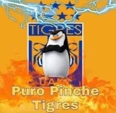 una tigrilla pa este tigrillo