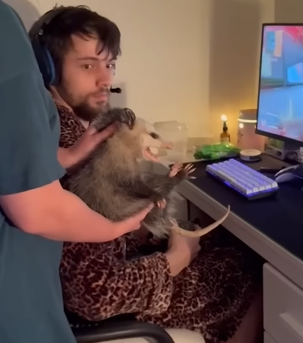 This needs to be a meme. Figure it out internet.