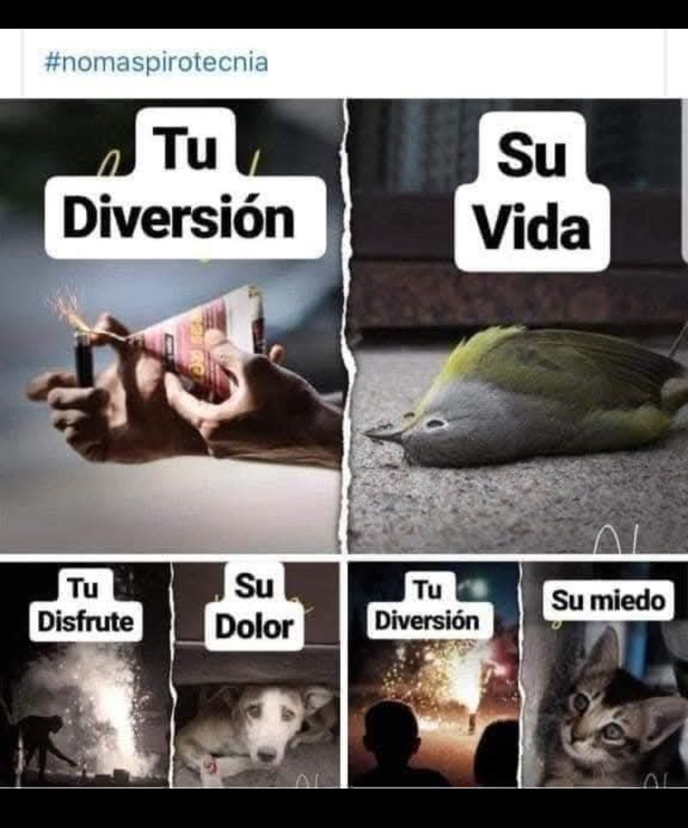 mmarin70's tweet photo. #NoALaPolvora #NoalaPirotecnia @Areametropol @AlcaldiaItagui @AlcaldiadeMed @AlcaldiaEnv @PoliciaColombia https://t.co/R4zmcXv8nS