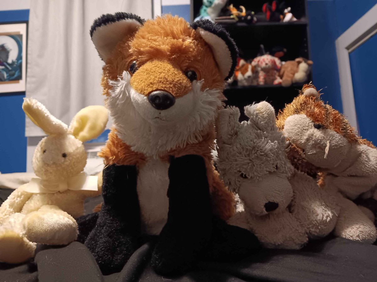 ShadowGohan7's tweet image. Team Keyle wins!