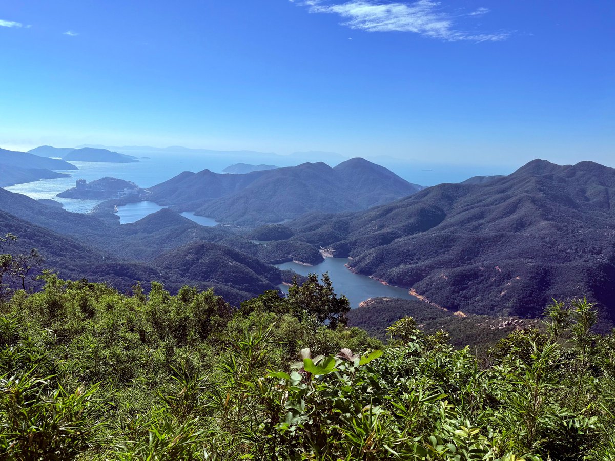 'On Intl Mountain Day 11 Dec, let’s celebrate the beauty of⛰️and imp of biodiversity to our ecosystems. 🇭🇰 isn’t just skyscrapers, it has hundreds of peaks and nearly 40% of its land preserved as country parks, home to rich biodiversity and natural beauty!' - Amb <a href="/harvey_rouse/">Harvey Rouse</a>