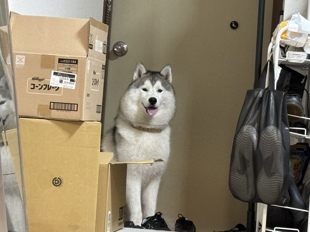 ガブちゃん (@rn2312412) / Posts / X