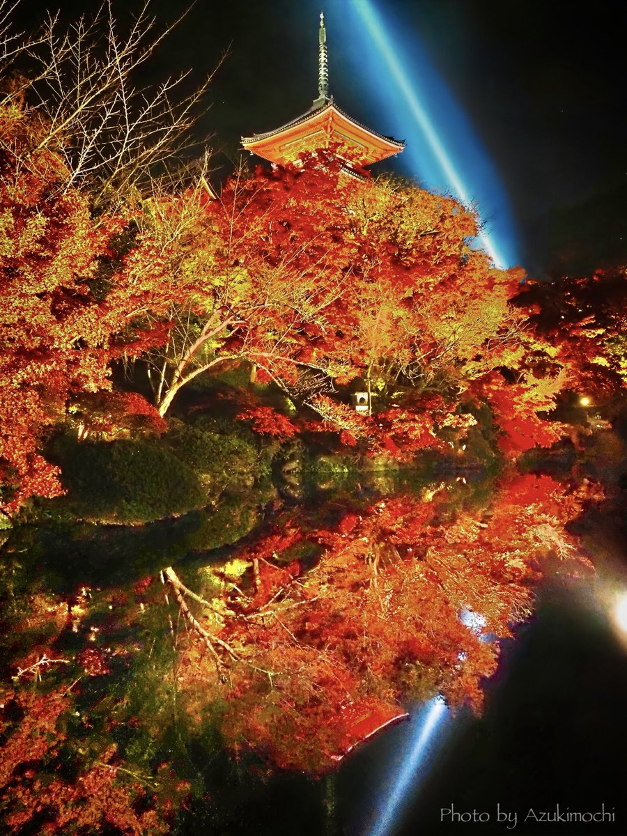 真珠 (@mieko__0606) / Posts / X