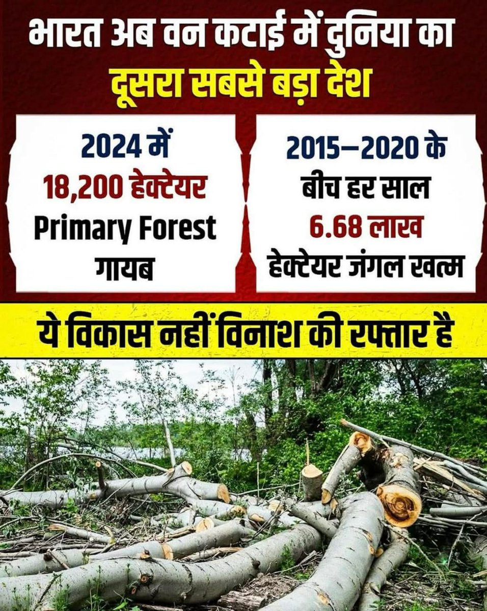 पेड़ों 🌳 को काटने में हम दुनिया में दूसरे नंबर पर आगये, पोल्युशन का क्या है ये तो चलता रहेगा !! 

कहाँ गए माँ के नाम पर पेड़ 🌳 लगाने वाले ?

#SaveAravali #savemountains #Aravali #aravalimatter #अरावलीकीरक्षाकरो #ClimateAction #climatechange