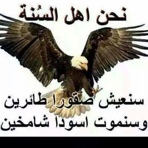 Alwahdiytaha 🇾🇪🇸🇦🇾🇪🌹 tweet media
