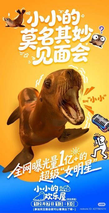 Anyone who knows the most basic Mandarin knows what the sea lion is saying on the poster. “wo jiao “xiao xiao” means “My name is “Xiao Xiao”. End of discussion.

$XIAOXIAO