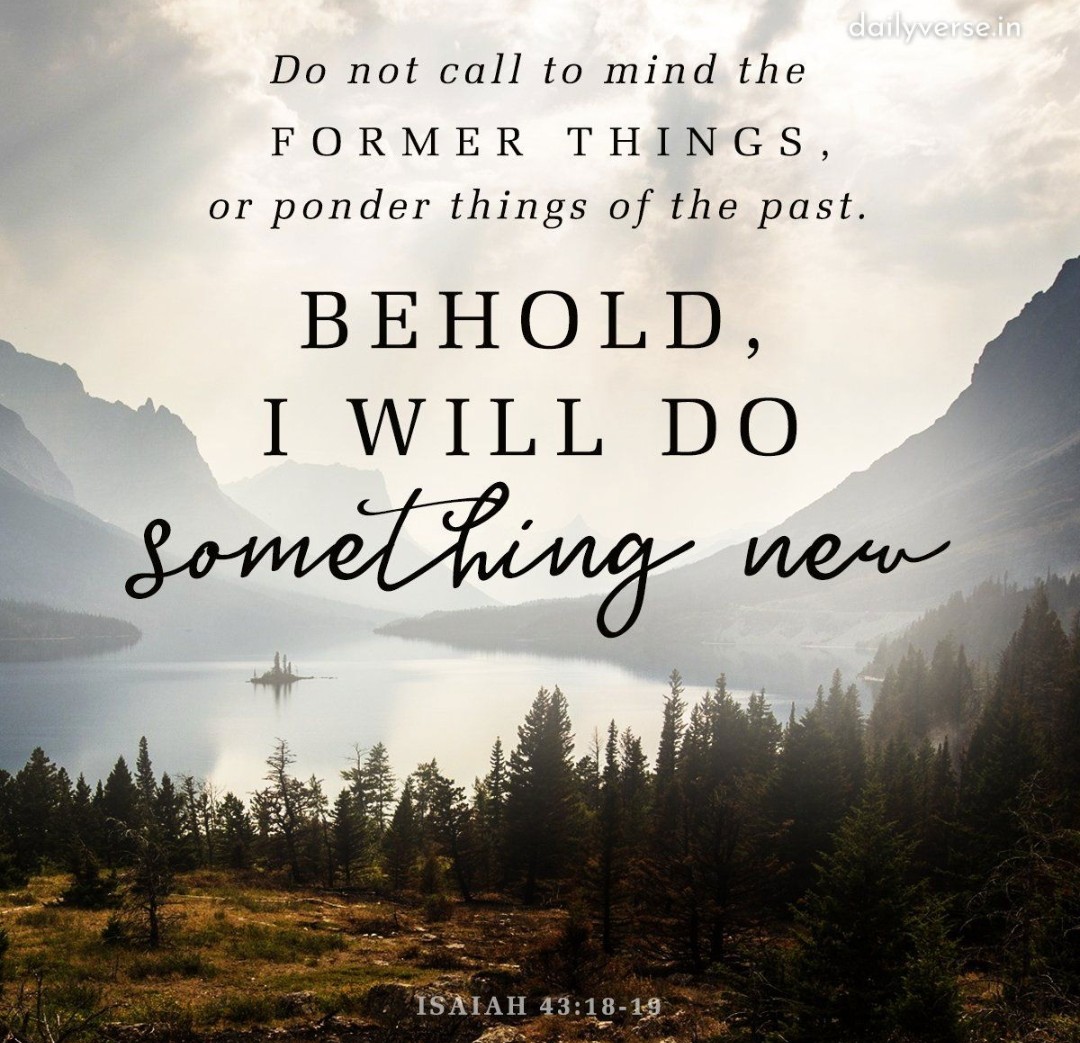 janet marie force (@janetmarieforce) on Twitter photo 