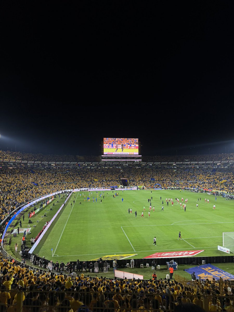 tigresfootball_'s tweet image. FULL AMARILLO 😍🌋🟨
