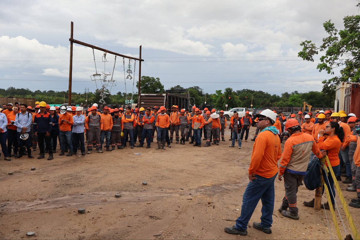 WebConserva tweet media