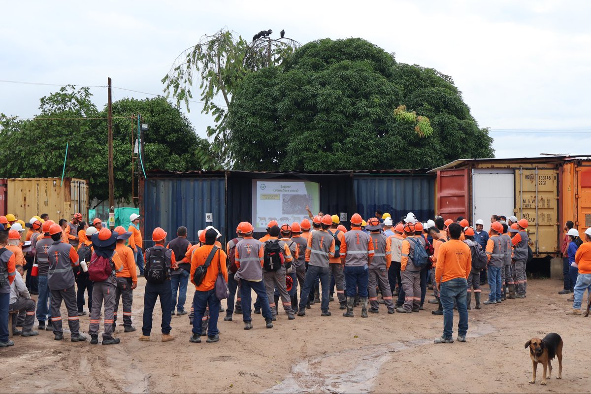 WebConserva tweet media