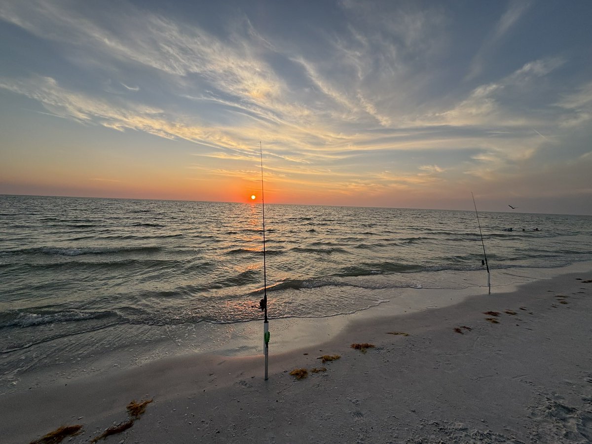 Average Dad Fishing tweet media