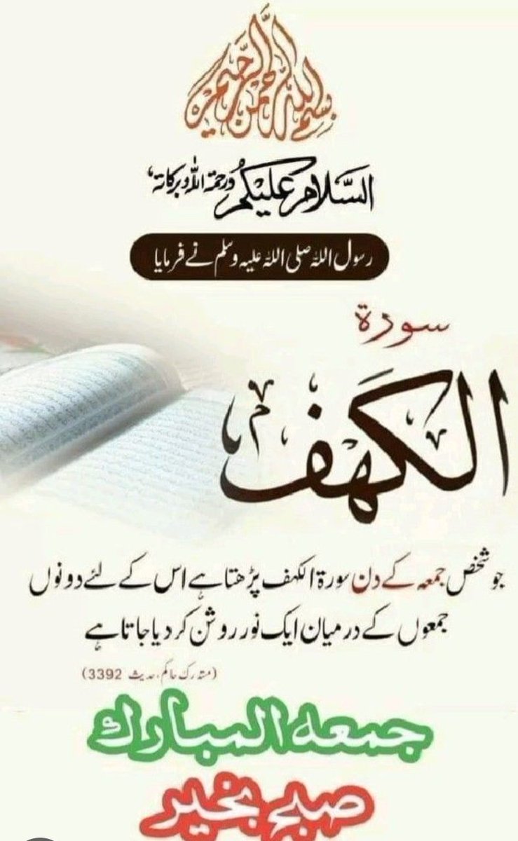 🎀 AYESHA 🎀 tweet media