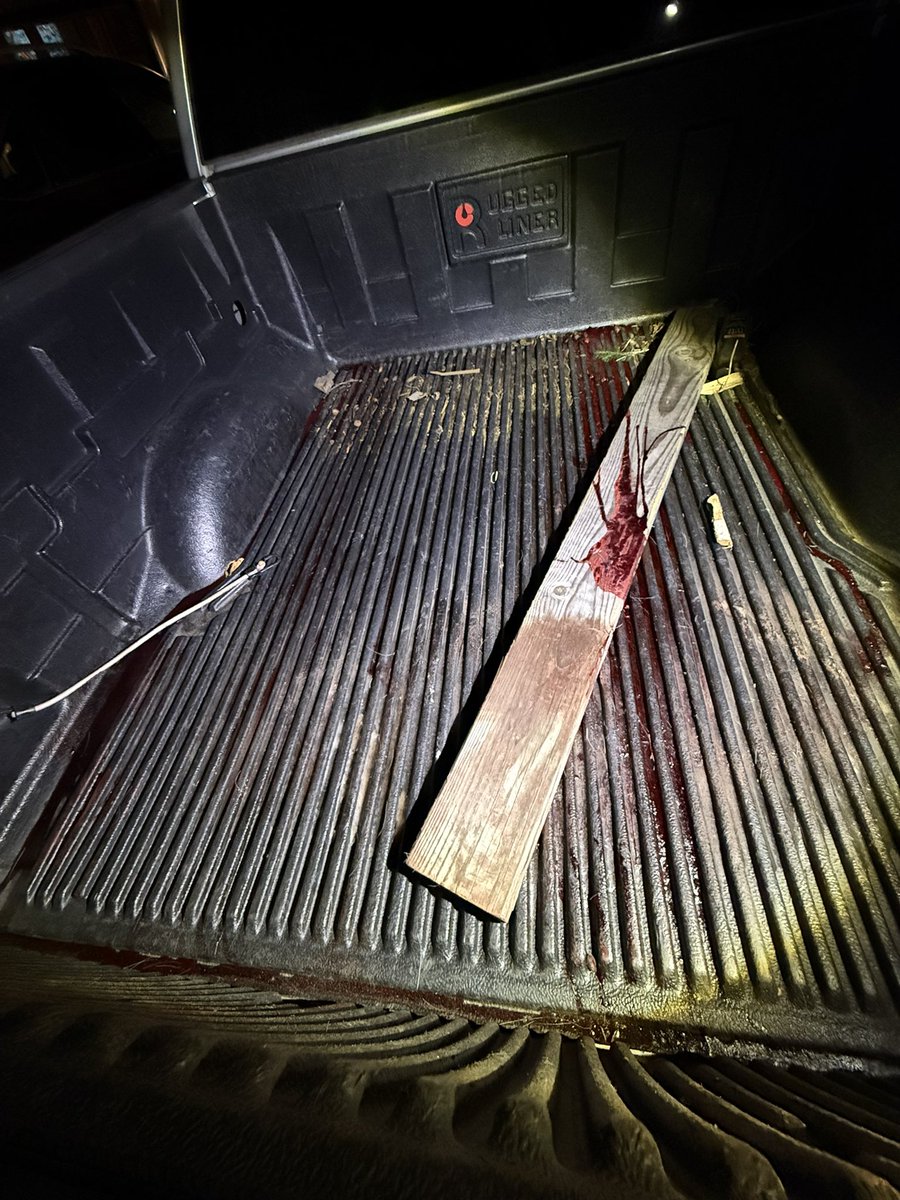 outdoorsmen87's tweet photo. Holy cow! second buck down! All tagged out for buck week. I’ve never done this before! That’s the truck bed of a successful week of hunting! #TaggedOut #BuckWeek #OnOurOwnLand #Thankful https://t.co/oVfZ0hxb09