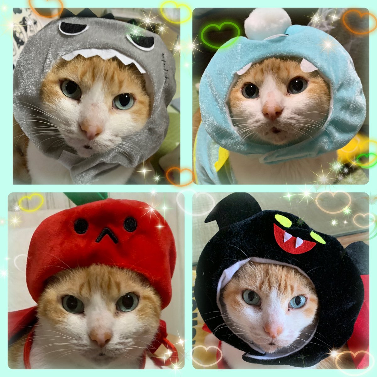 😜今日はどのキャラに するかにゃー😋 #猫好きさんと繋がりたい𓏲𓎨