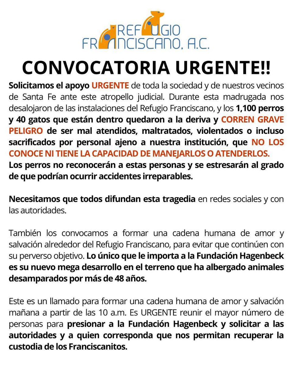 Es una vergüenza.  Desalojaron este refugio para hacer ooooooootro proyecto inmobiliario.  Que no tiene viabilidad de agua (obviamente).  1100 perritos. El terreno había sido donado como refugio y la avaricia de la Fundación Hagenback está generando esta tragedia.  Favor de RT.