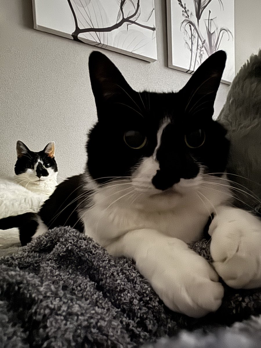 響介 (@HOMEALONe_ksk) / Posts / X