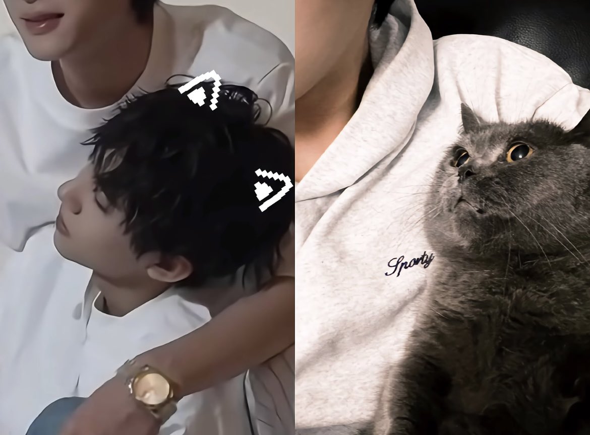 zx's kitten 😆😆