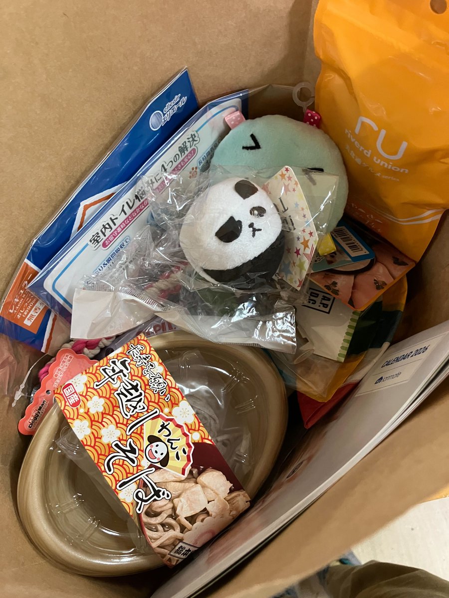 準備中・・・🐶🐱✨