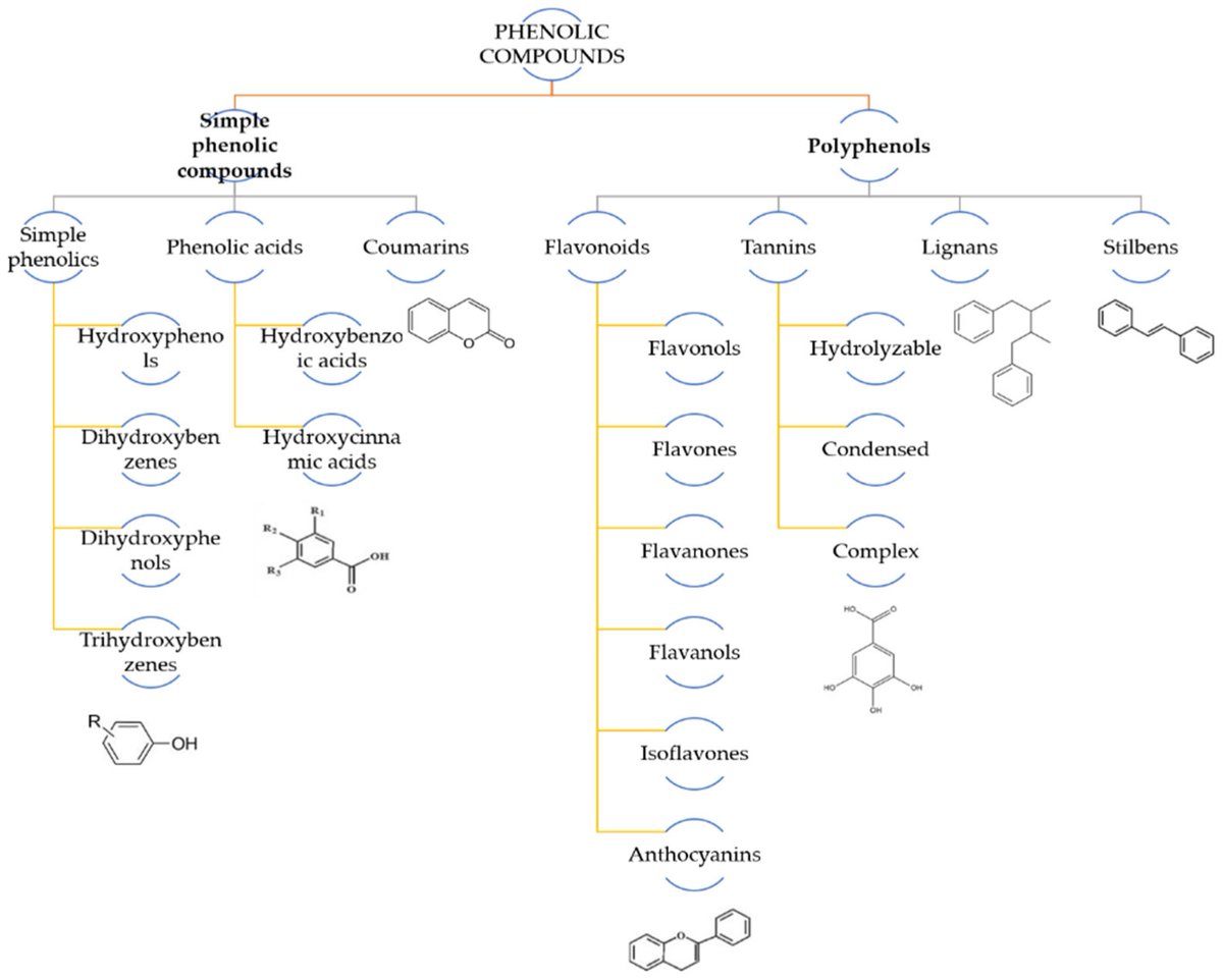 Applsci's tweet image. ☀ Welcome to read these review papers in the Section "Applied Microbiology"!
1. Plant-Derived #Phytobiotics as Emerging Alternatives to #Antibiotics Against #Foodborne #Pathogens
by Kamila Rachwał and Klaudia Gustaw
mdpi.com/2076-3417/15/1…
2. The Applications of MALDI-TOF MS in
