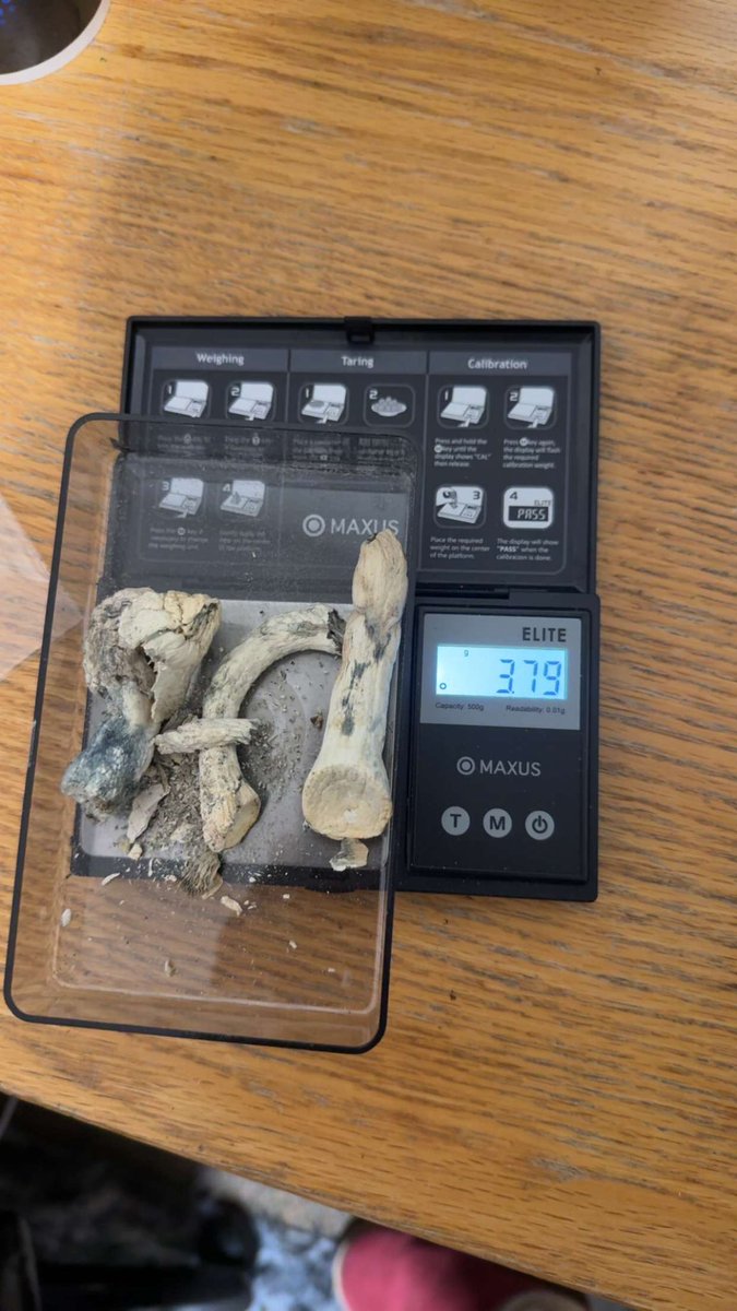 Judge Smails tweet media