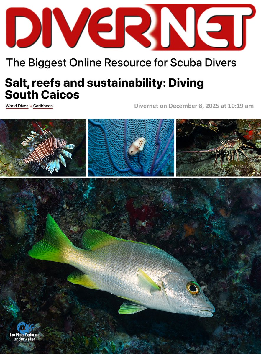 EPEDivers's tweet photo. Eco-Photo Explorers latest published article can be viewed in DIVERNET Magazine.

>>> Salt, reefs and sustainability: Diving South Caicos

Read the article at:

https://t.co/DoJPEm0GxQ

https://t.co/RPElk07Mh8

Subscribe to DIVERNET Magazine at:
https://t.co/9NdlhYqp64 https://t.co/8nh3BCziaI