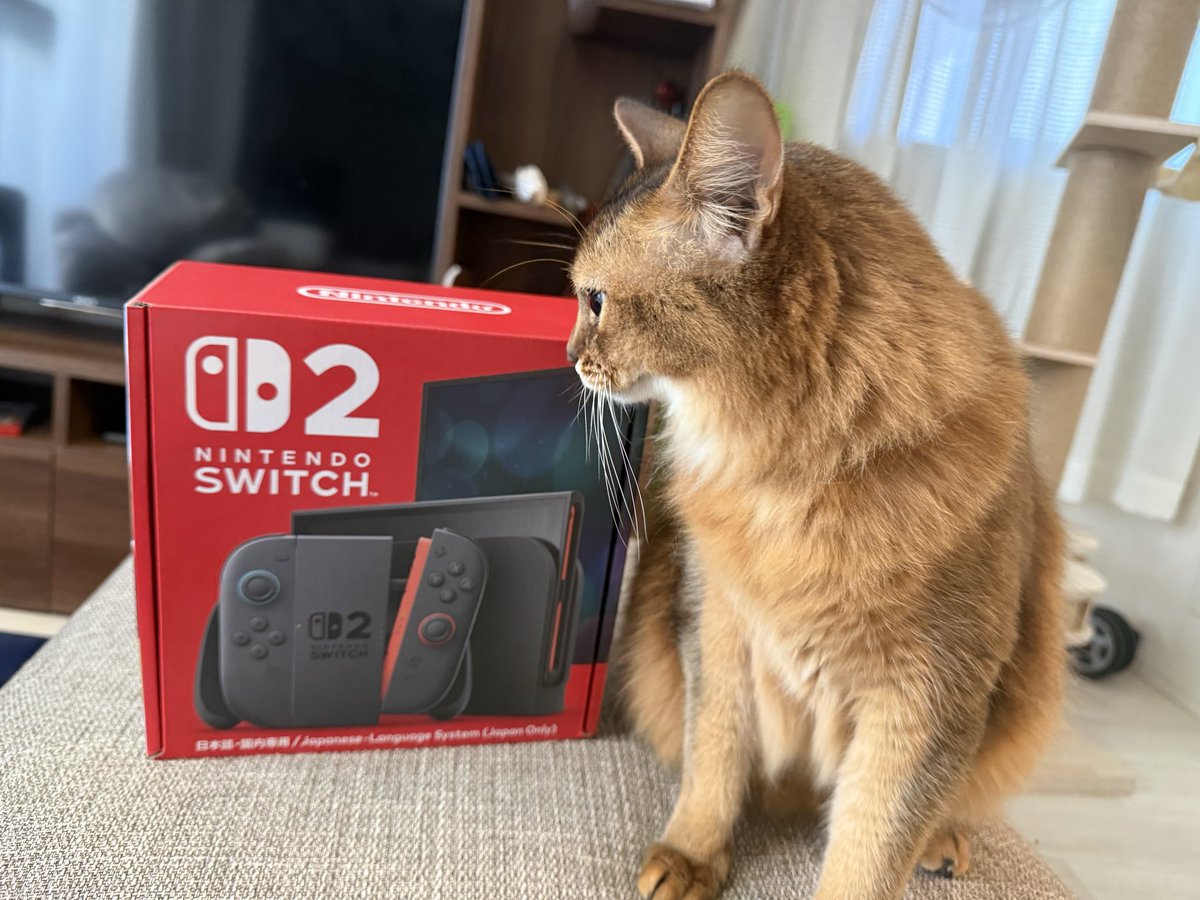 yuco1126's tweet photo. Switch2きたにゃ🐾
#ねこ #ねこのいる暮らし 
#Switch2
#スプラ4楽しみ https://t.co/SB100B9ixg