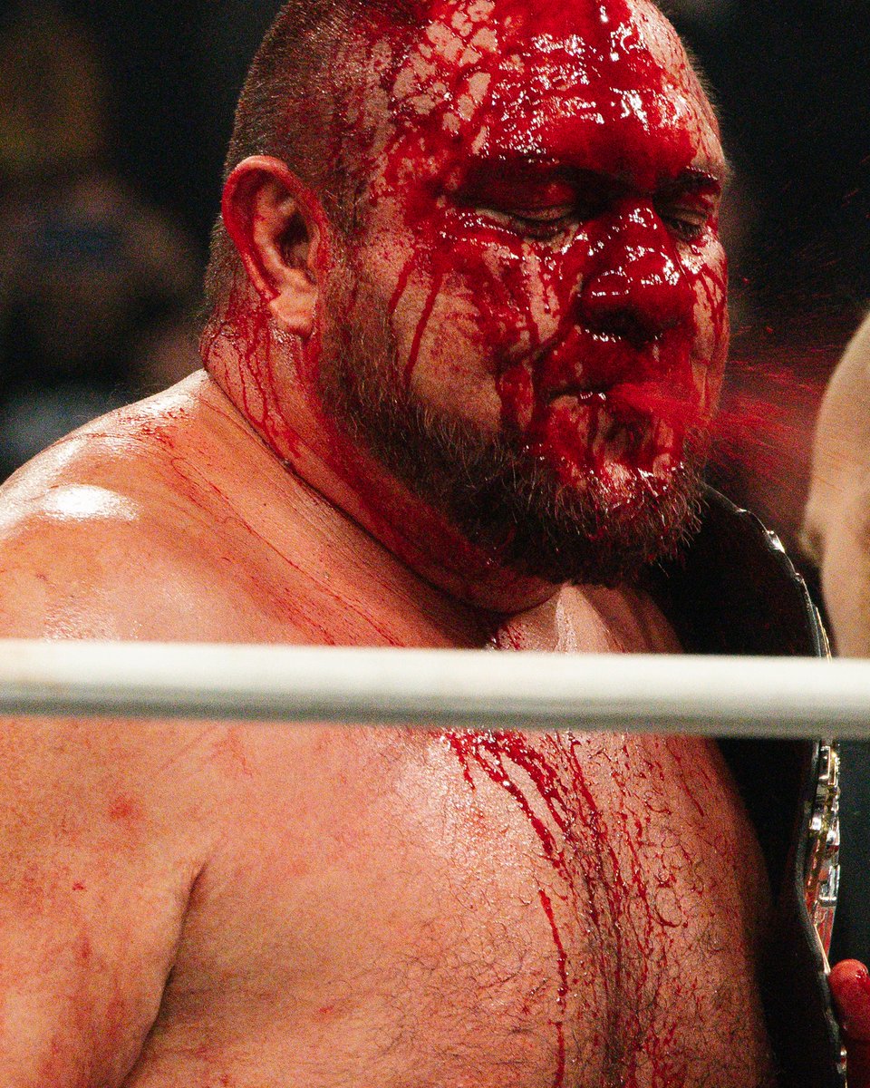 b r a i n b u s t e r tweet media