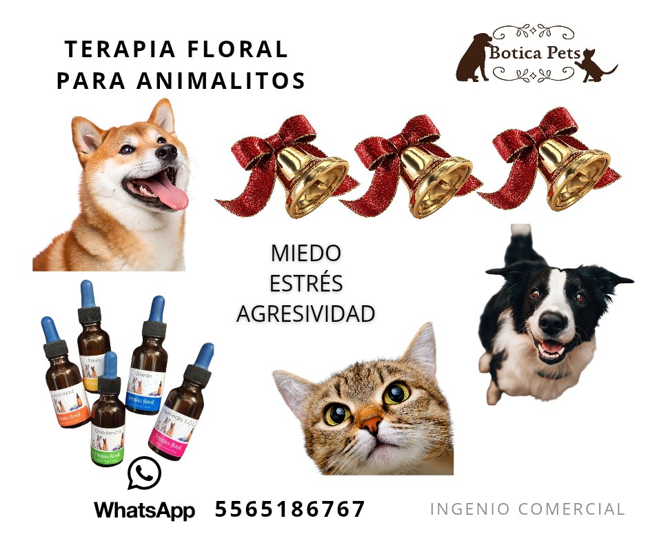 BoticaPets's tweet image. 