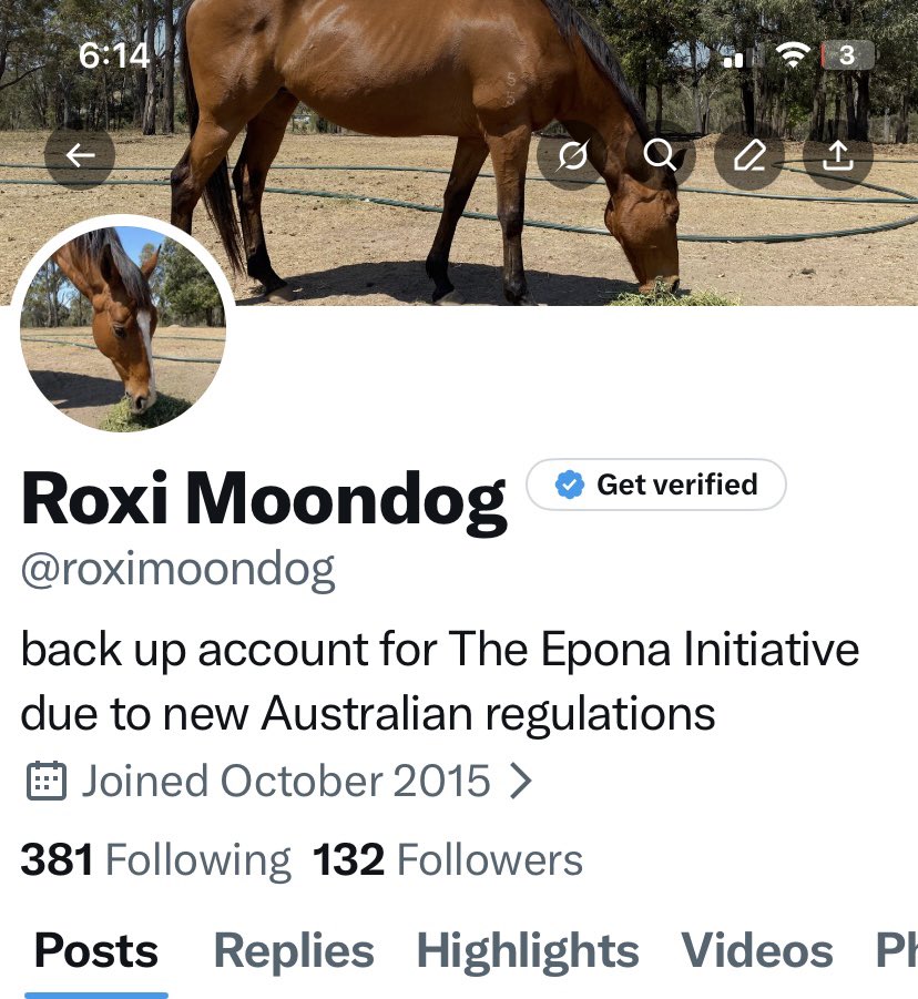 The Epona Initiative tweet media
