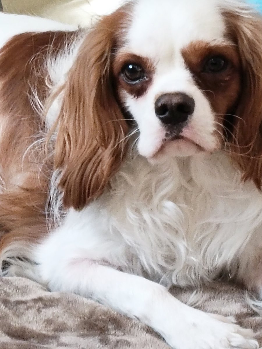 ゆっきー🌈🌈 (@y5u3k1i2k6o) / Posts / X