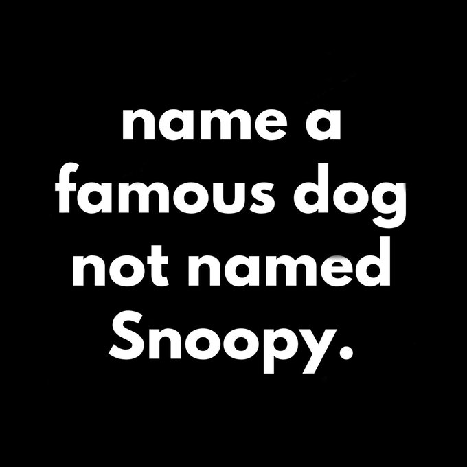 All The Right Movies tweet media