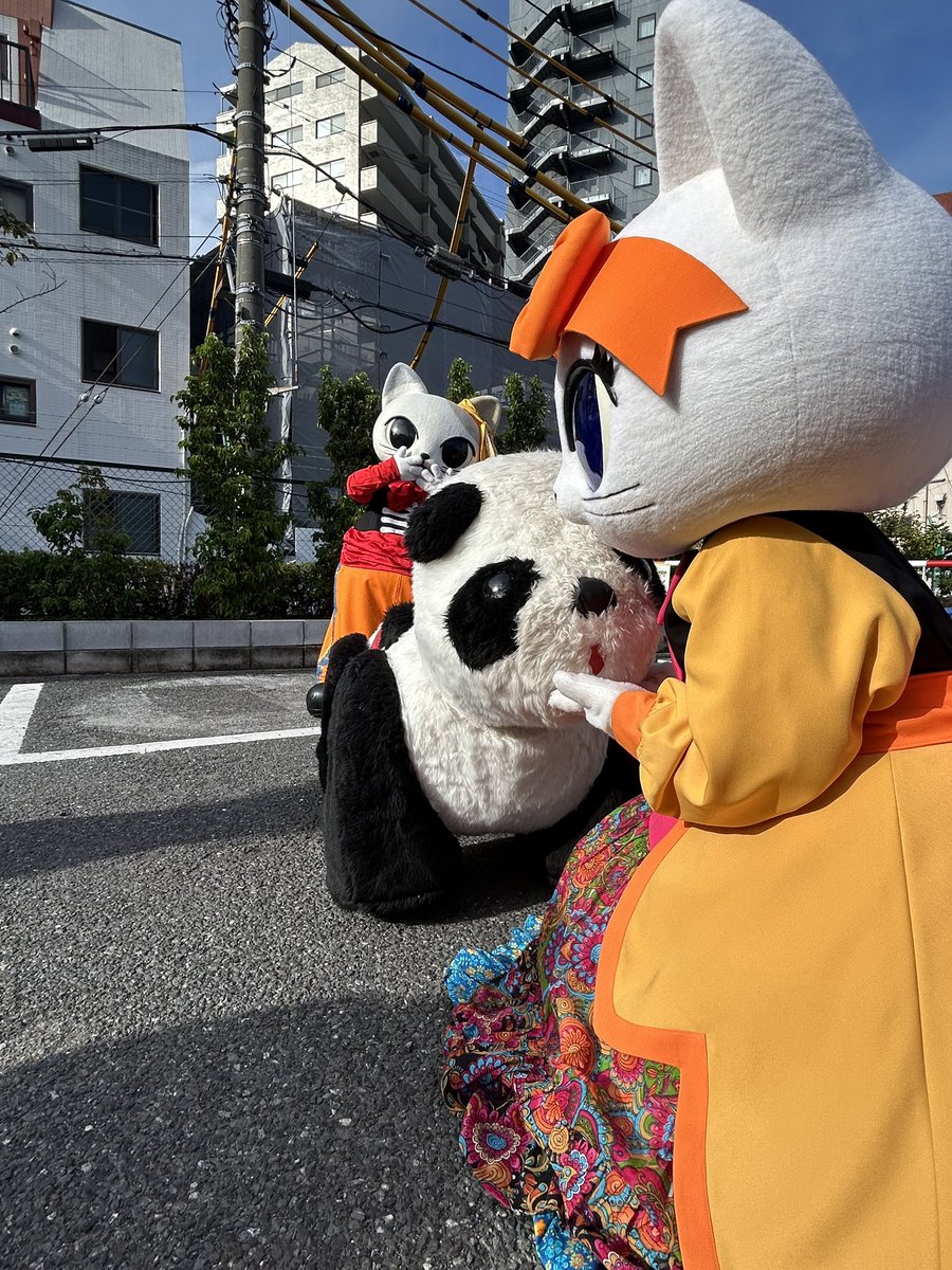 ナンジャタウン のみなさん✨ 2025年もお世話になりましたニャー