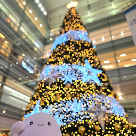 povo (@povo_official) / Posts / X