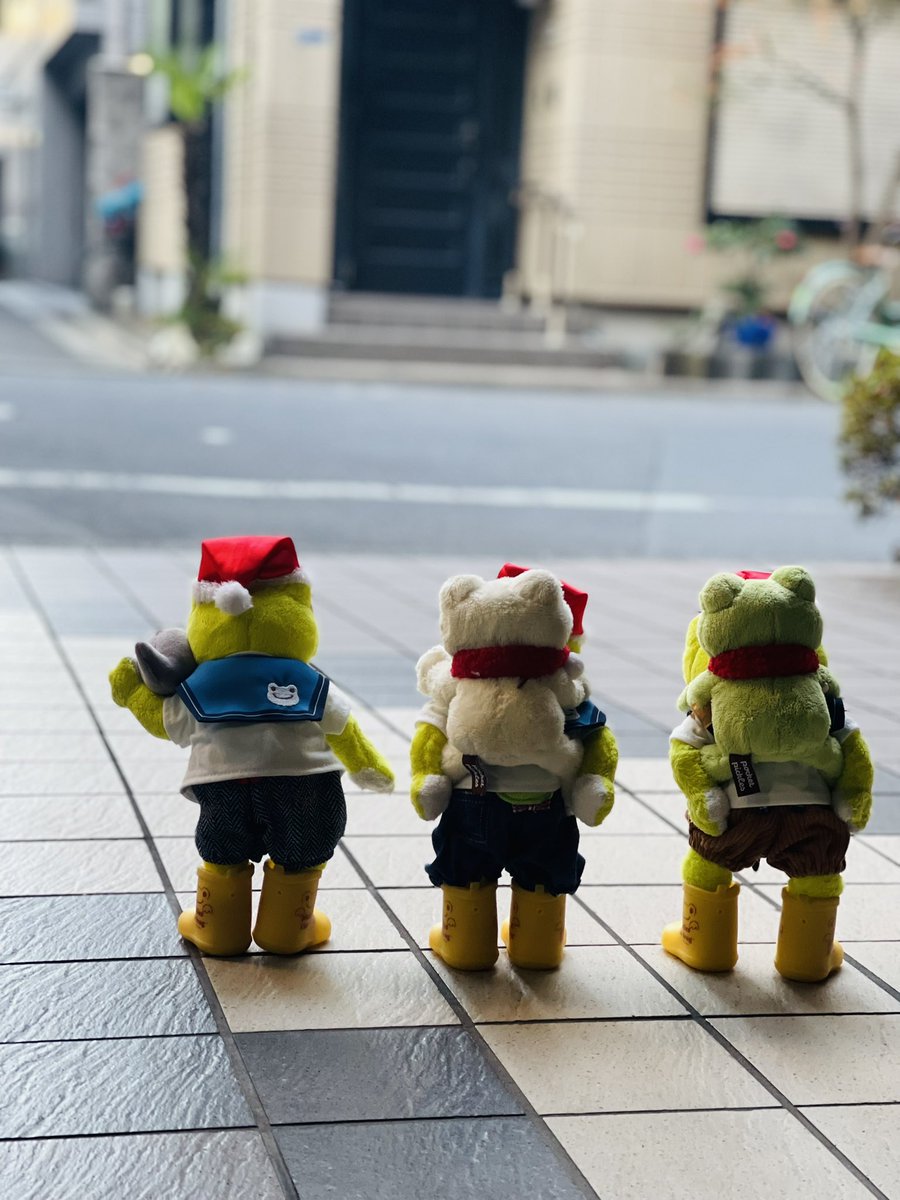 かえるのピクルス/pickles the frog (@picklesthefrog6) / Posts / X