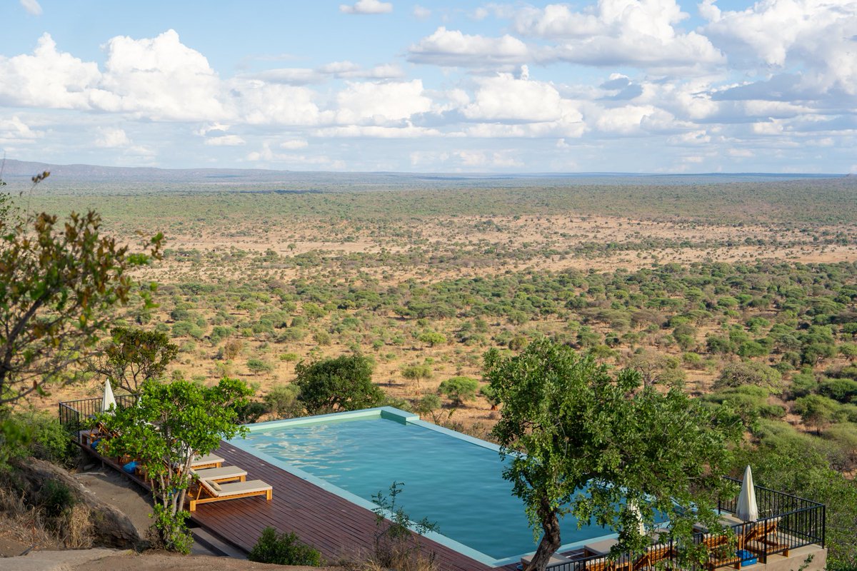 Amos Wekesa tweet media