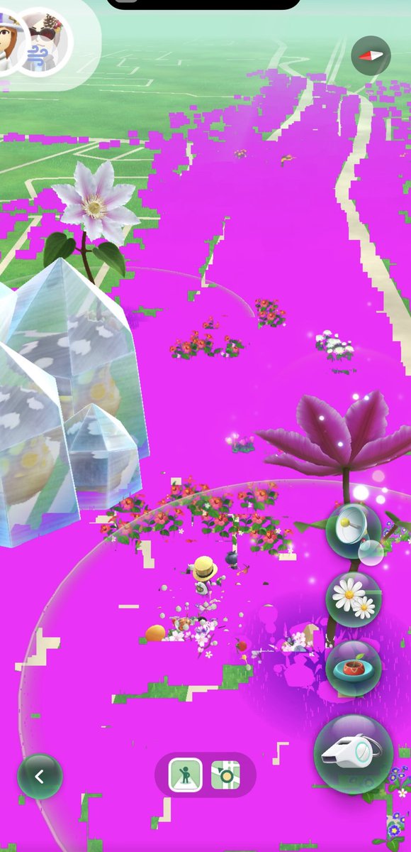 ピクミン、毒の沼地かよ(笑)