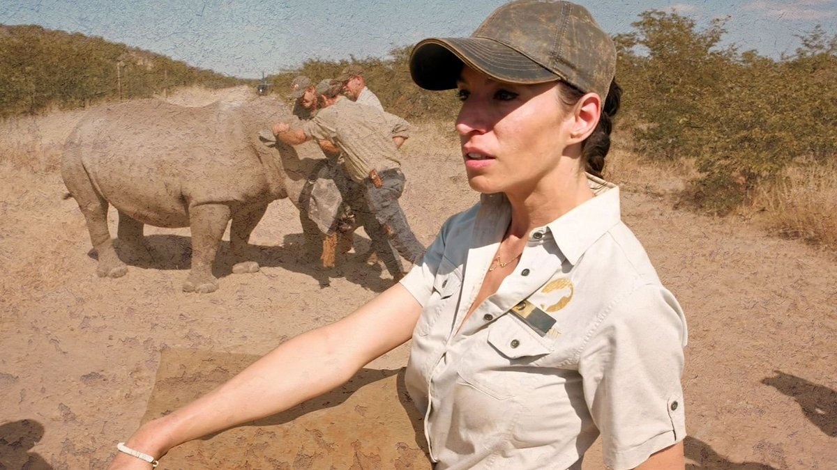 blvcom's tweet photo. 🩺 DRA.FABIOLA JONES #FabiolaJones en @la1_Tve obtuvo 2.785.000 ESPECTADORES ÚNICOS (AA).

🐘 El programa reunió 852.000 espectadores de media y el 10,8% de cuota de pantalla.

#Audiencias📺📊 https://t.co/ObJo0GfF2k