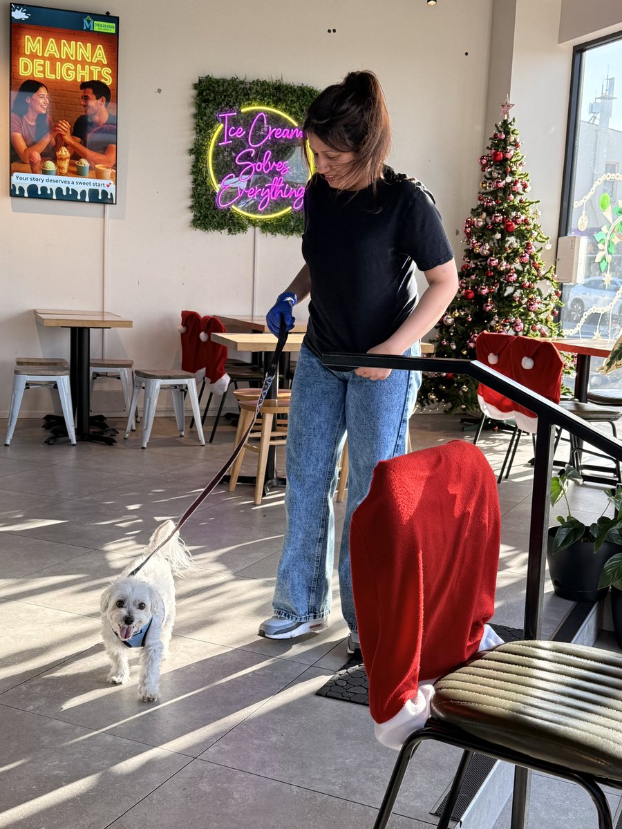 前に住んでた街のカフェ☕️のお姉さんに
会いにいったでしゅ💕
トリート🥓をもらってから🤤
お店の中を探検させてくれたでしゅ
（厨房まで入ったよ😁）