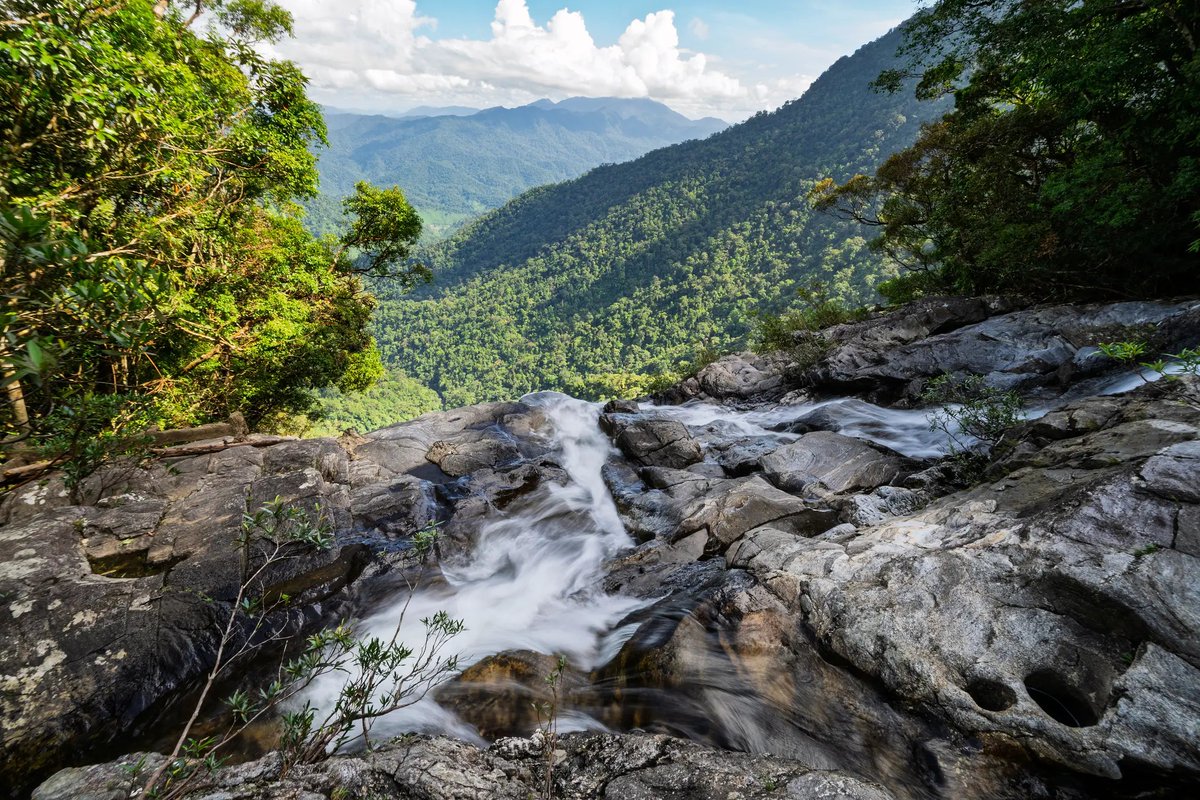 Saigoneer tweet media