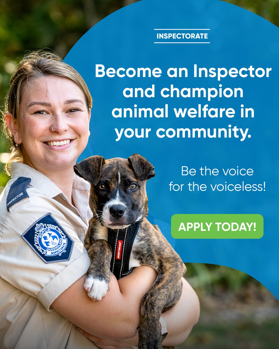 RSPCAQld's tweet photo. 🙋‍♀️ We're Hiring 🐶🐱
Have a certain set of skills and a passion for changing lives? Join the team 👉 https://t.co/jL3VsEx4g4

👮‍♀️ Inspectorate Team Leader - North Qld
🐨 Wildlife &amp; Rescue Receptionist - Wacol
👩‍⚕️ Vets - Wacol, Dakabin &amp; Toowoomba
🩺 Vets Nurse - Wacol, Dakabin https://t.co/57Yh5y6Z5o