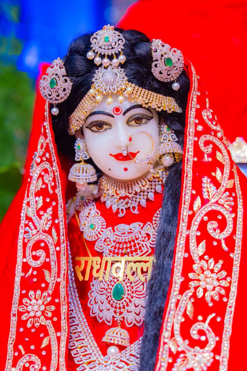 ठाकुर श्री राधा वल्लभ लाल जू 🌼