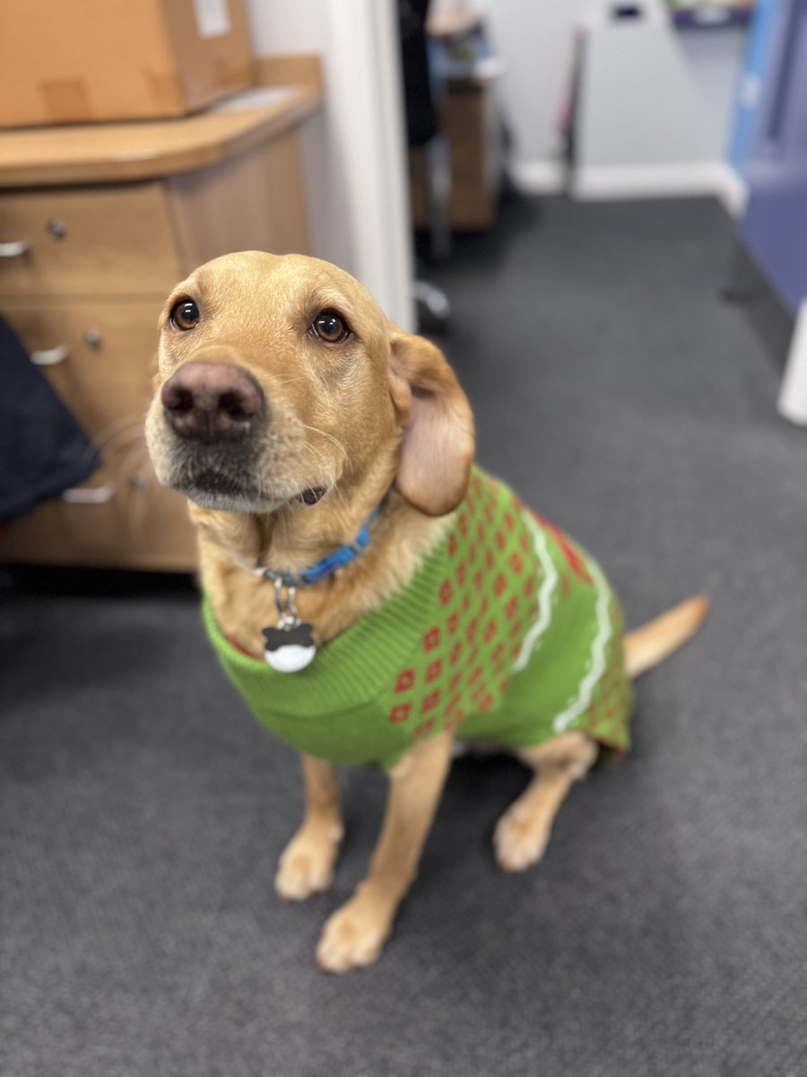 SparksTheDogMentorSPAG tweet media