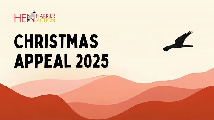 HHDayUK's tweet photo. This Christmas, we're raising funds to protect one of Britain's most persecuted birds of prey - the Hen Harrier. Every donation goes directly to buy satellite tags. For a future where Hen Harriers can thrive without persecution, please support our appeal.
https://t.co/KOlV3shS7x https://t.co/YIBNnTAO3u
