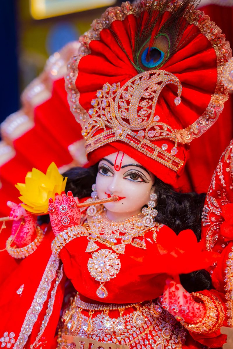 🌼श्री मोहन जू 🌼