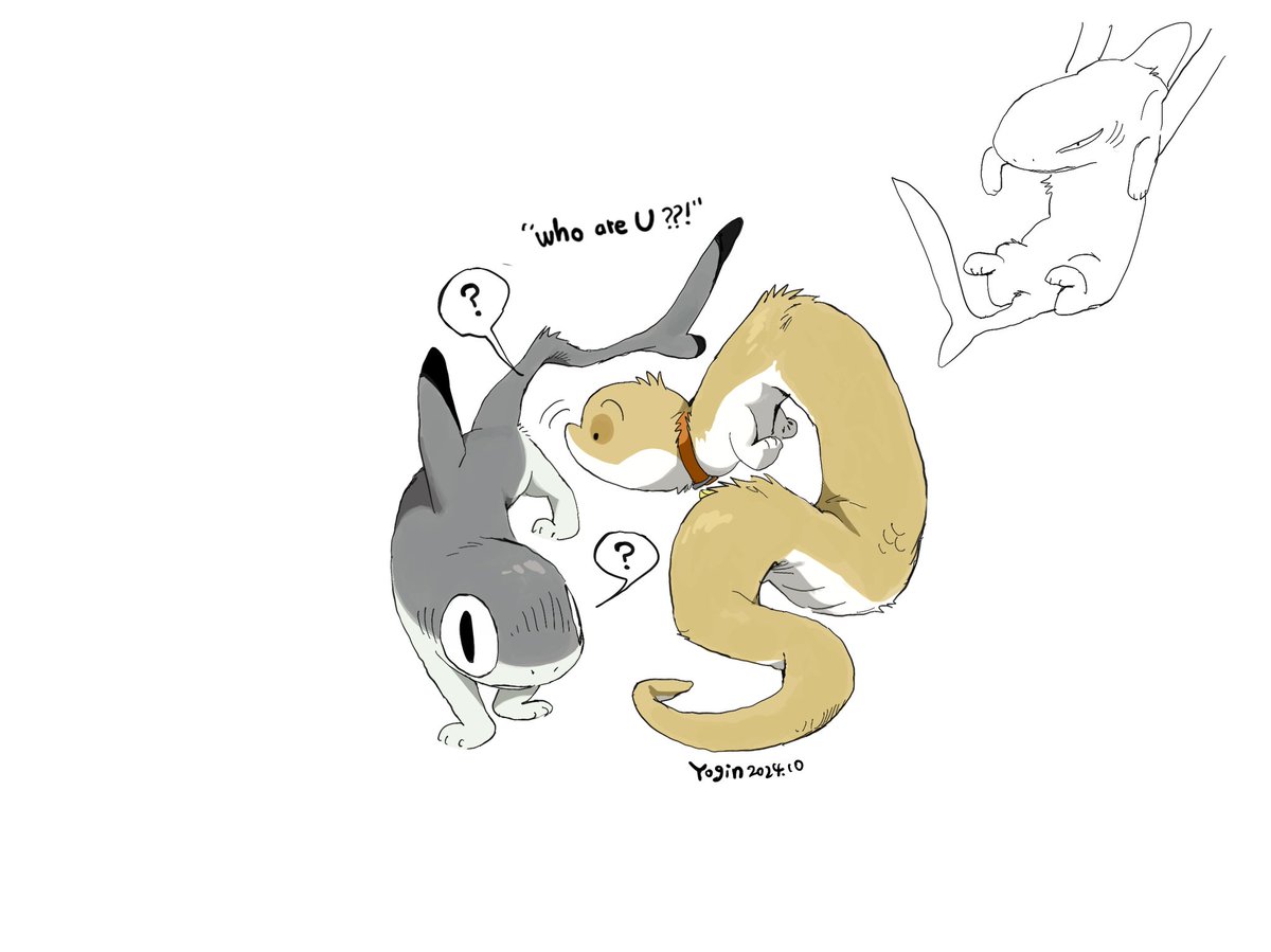 小狗蛇 tweet media