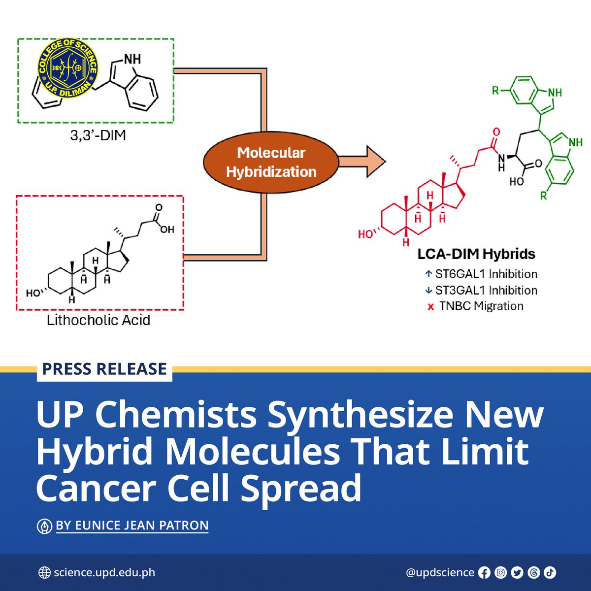 🧪 Chemists Christian Angelo Concio and Dr. Susan Arco of the UP Diliman College of Science’s Institute of Chemistry are exploring innovative ways to fight cancer at the molecular level.

🔗 Read here: science.upd.edu.ph/up-chemists-sy…