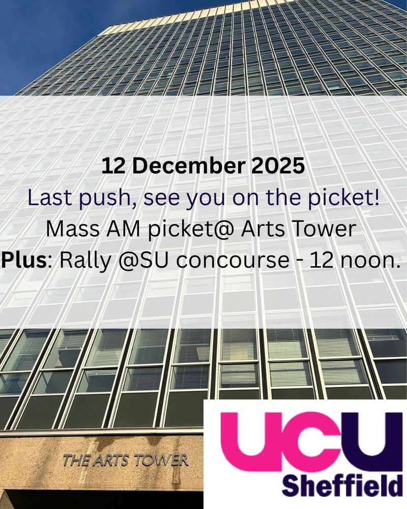 Colin Bingle tweet media