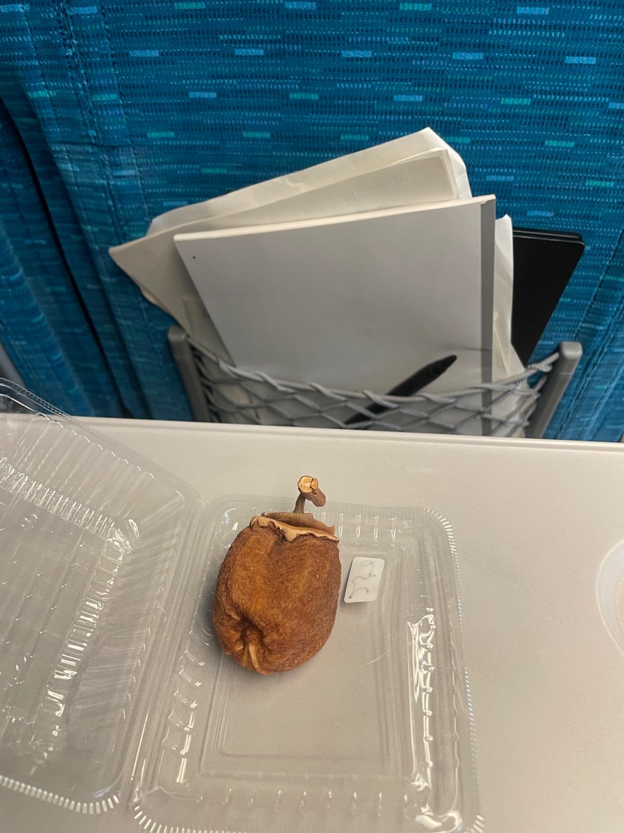 喉乾いているのに何も買わずに新幹線に乗ってしまった。微妙に水分が含まれてそうな「干し柿」食べるべきか、食べぬべきか