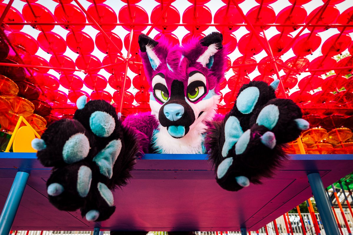 CycurCanine's tweet image. Come join me on this year's adventure!

📸 @Ryidergon