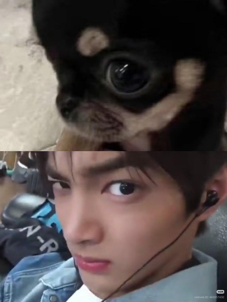 i see no difference 
—
#KEONHO #건호 
#CORTIS #코르티스